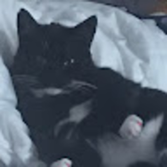 mariannelemi414